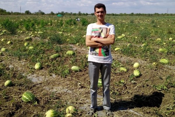 В Усть-Куломском районе ищут пропавшего рыбака
