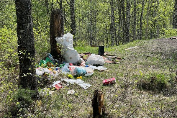 Жители Коми жалуются на замусоренные людьми места отдыха