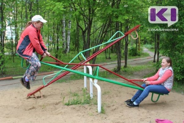 Роспотребнадзор проводит проверку по факту инцидента на летней площадке в Троицко-Печорске