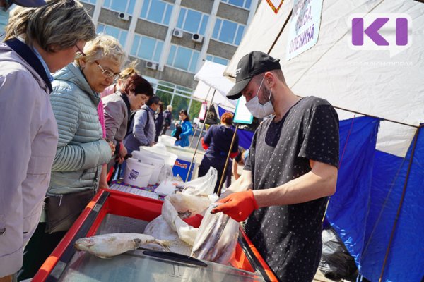 В Коми упростят продление разрешительных документов для размещения нестационарных торговых объектов