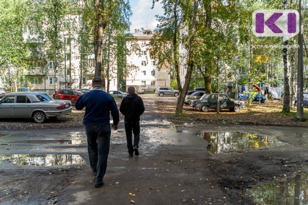 Житель Коми выбивал из приятеля долг в 200 рублей бельевыми щипцами 