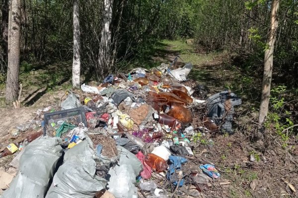 Решаем вместе: администрация Печоры помогла экологам вывезти мусор после субботников