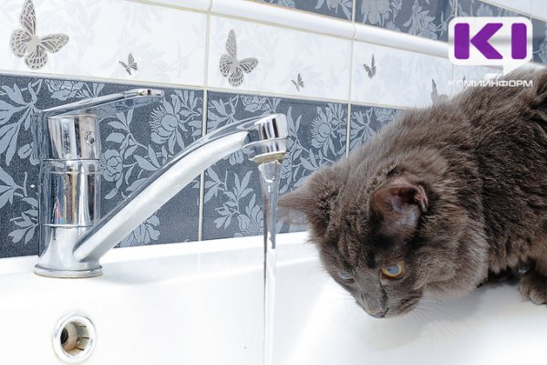 Горячая вода досрочно вернулась в Больничный городок Сыктывкара

