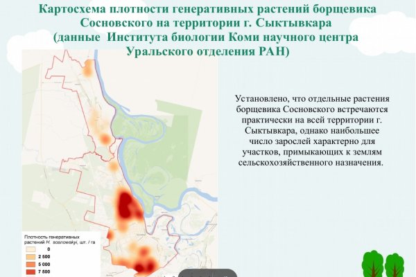 В Сыктывкаре с участием полиции пройдут рейды против борщевика