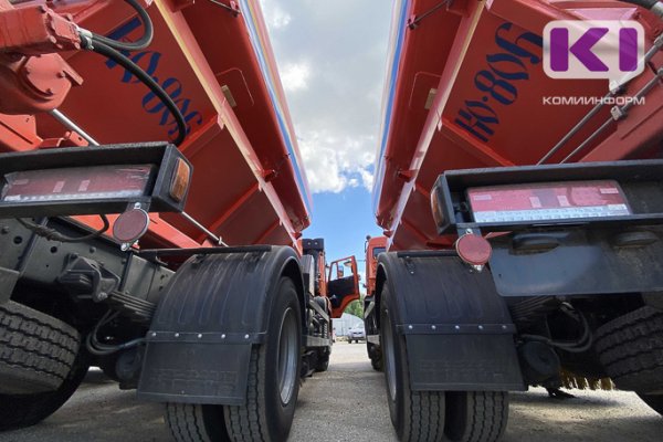 В Сыктывкаре из-за жары стали чаще поливать дороги и зеленые насаждения