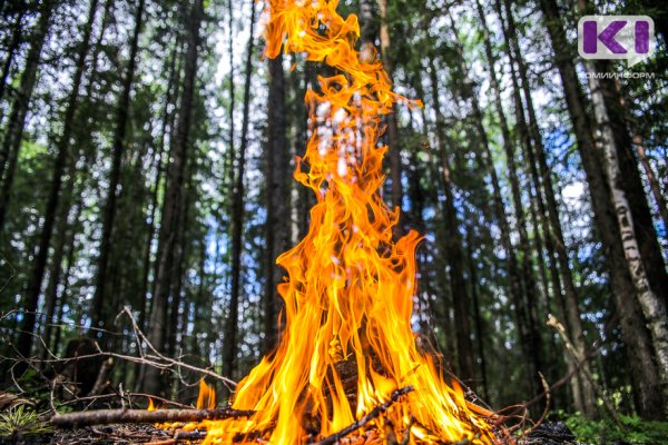 В лесах Княжпогостского района введен режим 