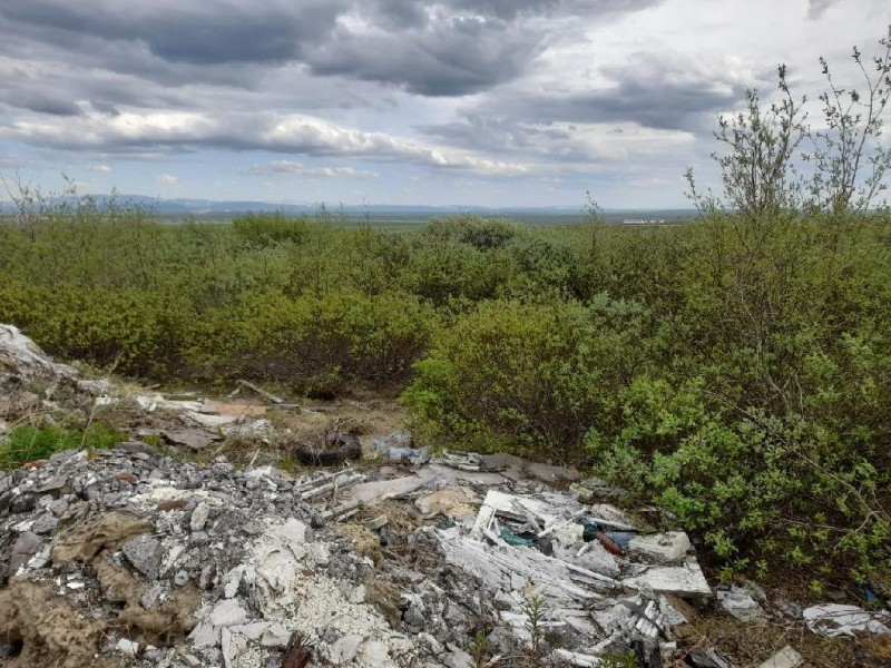 В Воркуте прокуратура инициировала возбуждение уголовного дела по факту обнаружения свалки опасных отходов