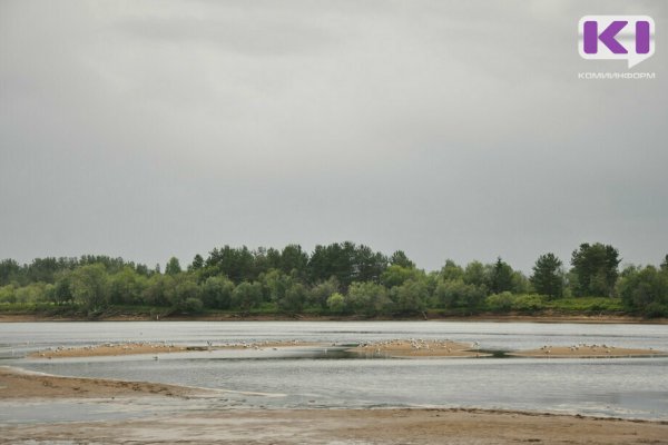 На пляже в Заречье нашли тело утонувшего глухонемого сыктывкарца 