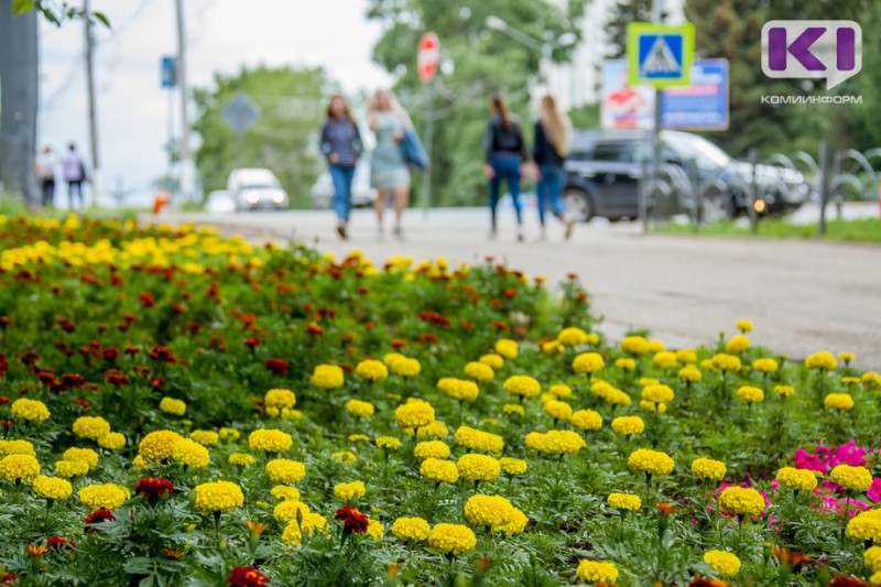 Погода в Коми 26 июля: небольшой дождь, +20...+25°С