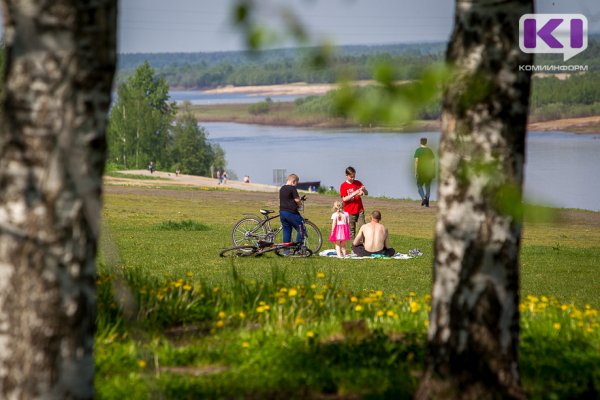 В первую неделю августа погода порадует устойчивым теплом жителей Коми