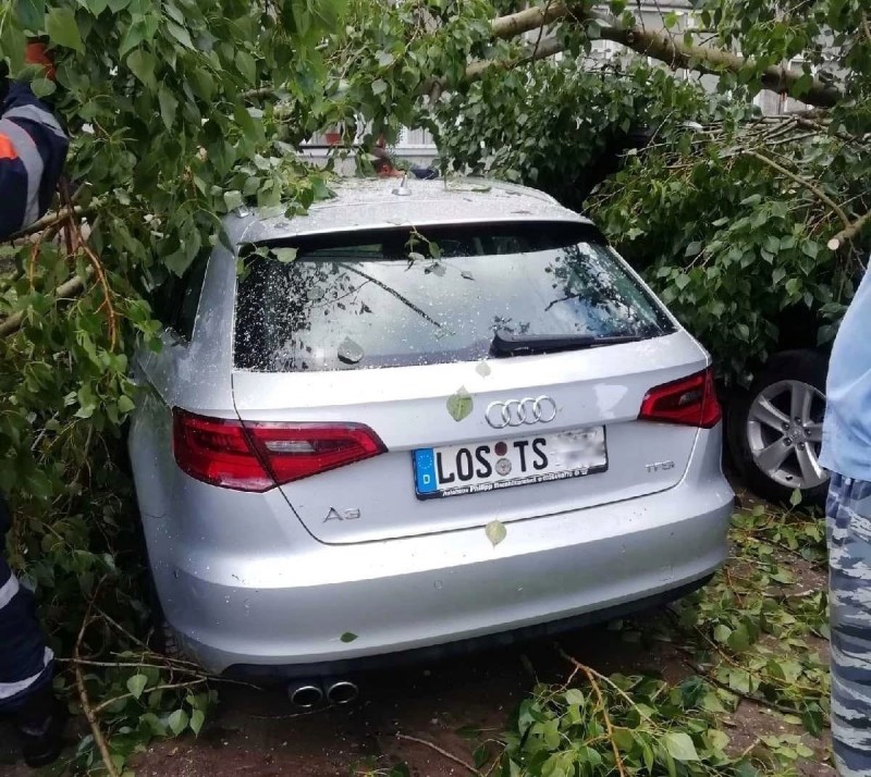 В Сыктывкаре дерево придавило автомобиль с немецкими номерами 