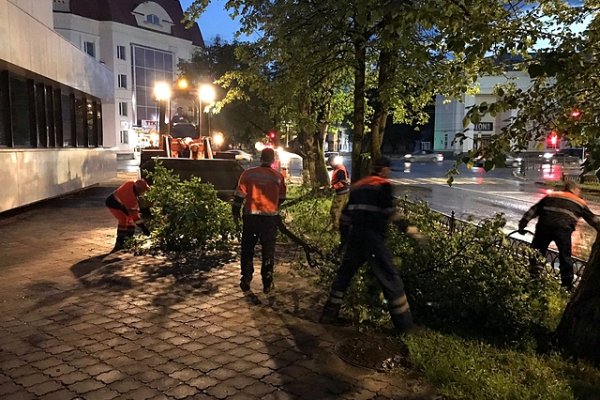 В Сыктывкаре шквалистый ветер повалил десять деревьев