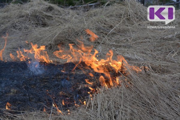 Вуктыл окутал смог от лесных пожаров