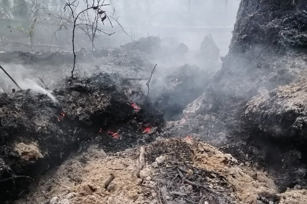 Добровольцы тушат лесной пожар в Сыктывдине