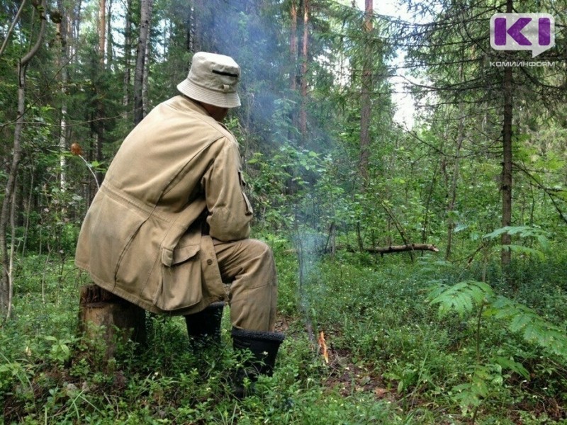 Поисковики Коми рассказали, как вернуться из леса живым