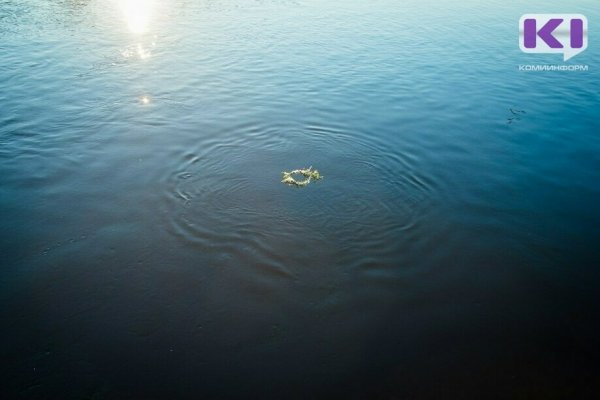 В Ижме утонул ребенок