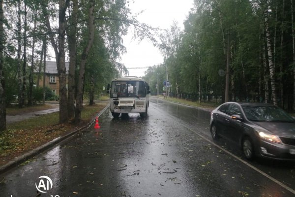 В Сыктывкаре водитель маршрутного ПАЗа снес дерево, пассажирка получила травмы