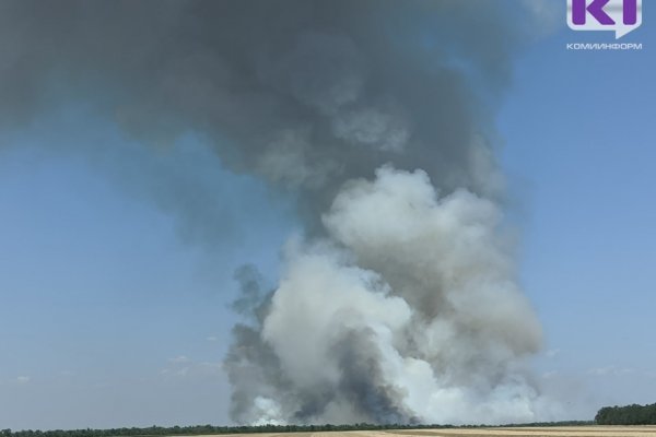 В Коми пошло на спад количество лесных пожаров