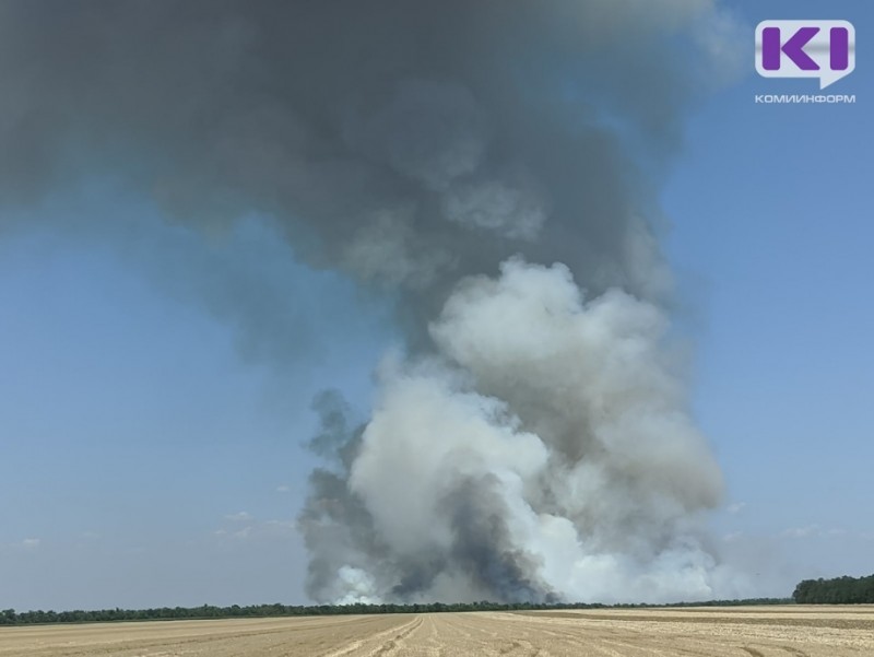 В Коми пошло на спад количество лесных пожаров