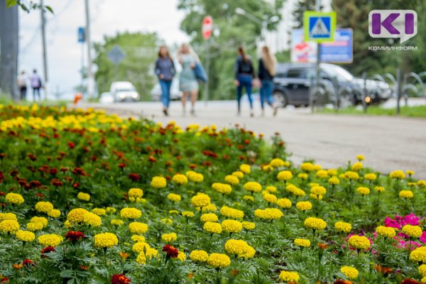 Погода в Коми 12 августа: небольшой дождь, +18...+23°С
