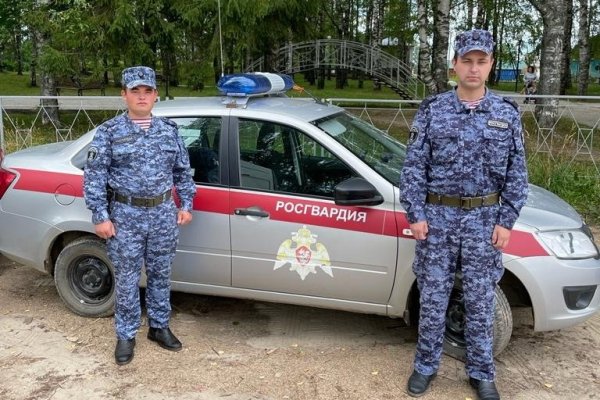 В Прилузье росгвардейцы задержали угонщика