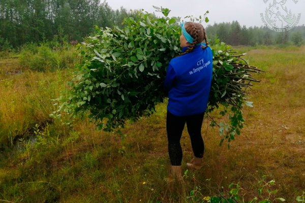 Лосеферма в Якше ждет выносливых волонтеров для заготовки корма 