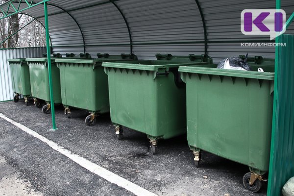 Администрацию Усть-Кулома проверят из-за мусора на дороге