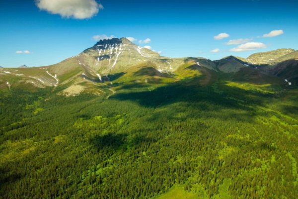 Туристско-информационный центр Коми организовал викторину к 100-летию республики