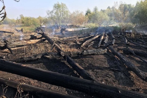 Спасатели МЧС подключились к тушению лесного пожара в Сыктывдинском районе 