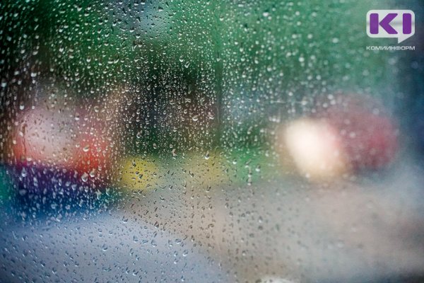 С большой вероятностью 1 сентября в Коми будет дождливым 
