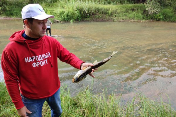 Члены Общественной палаты Коми и Народного фронта обратились в надзорные органы по факту массовой гибели рыбы