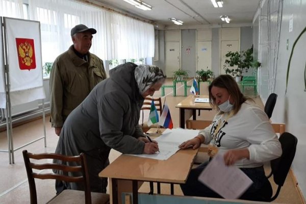 В Коми средняя явка на довыборах в муниципальные советы составляет 5,51%