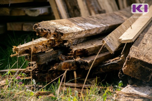 В Сыктывкаре обнаружены останки человека 