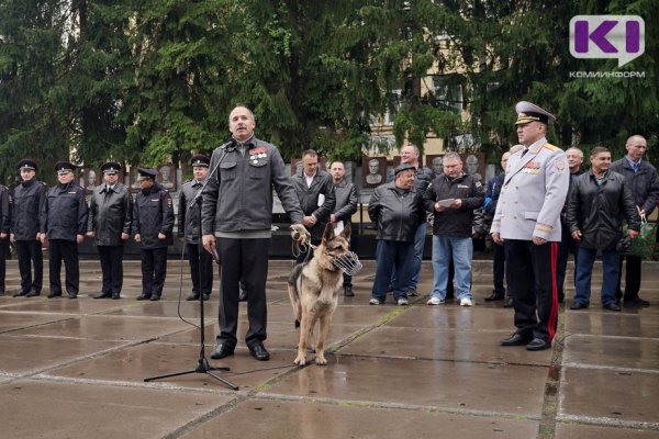 В ходе специальной военной операции на Украине на мине подорвалась сыктывкарская овчарка Сармат 