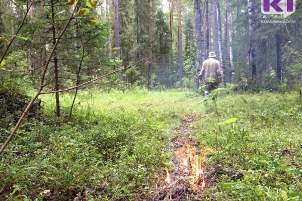 В лесу Сыктывдинскго района пропал мужчина