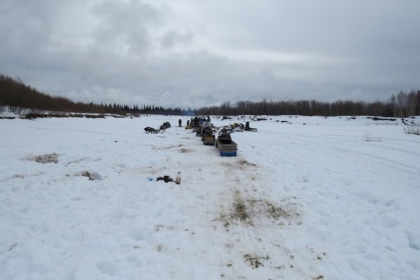 В Усинске вынесен приговор по уголовному делу об убийстве оленевода

