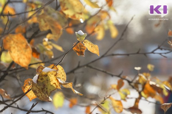 Погода в Коми 21 сентября: дождь, порывистый ветер, +7...+12°С