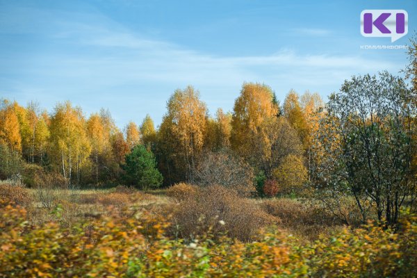 Погода в Коми 28 сентября: без осадков, +3...+8°С