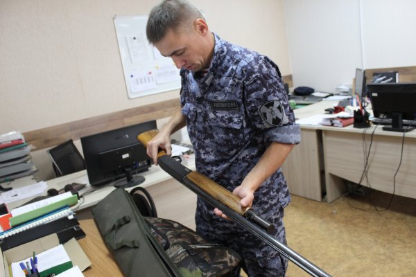 В Сыктывкаре мужчина добровольно сдал в Росгвардию найденное оружие

