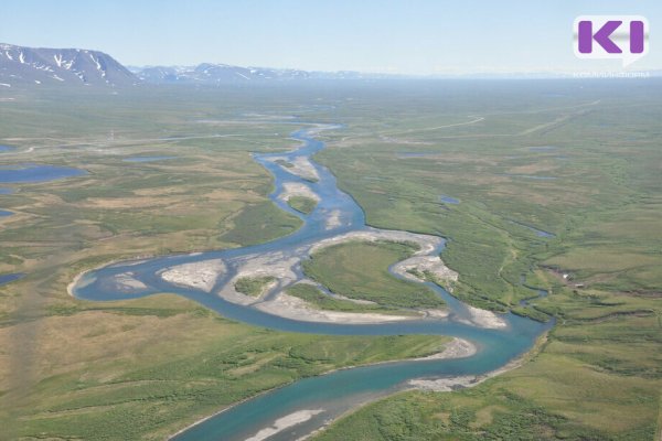 Количество резидентов в Арктических городах Коми увеличивается

