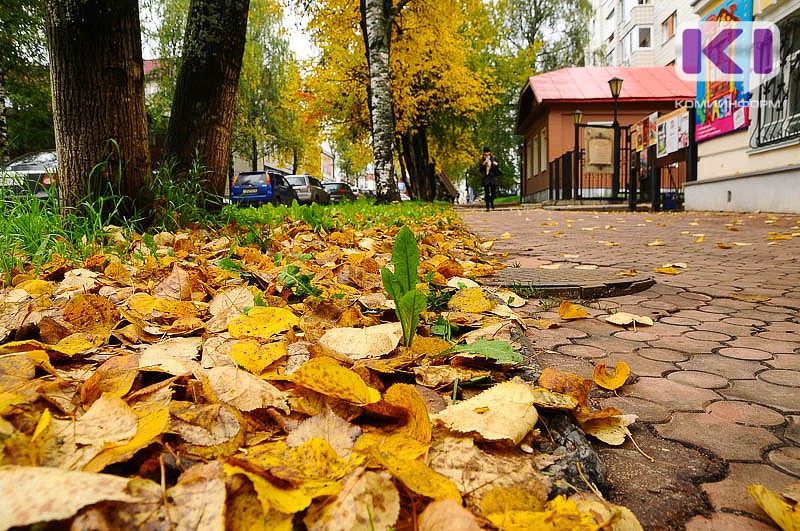 Погода в Коми 11 октября: небольшой дождь, +5...+10°С
