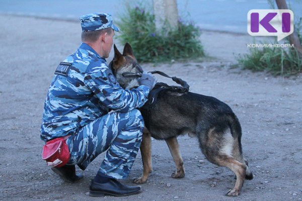 В Сыктывкаре эвакуировали одну из школ города