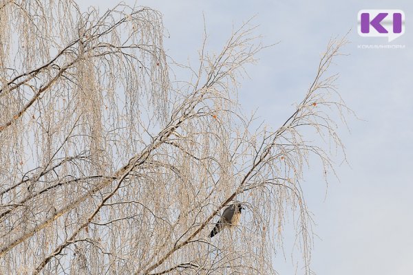 Погода в Коми на 26 октября: на севере до -13°С, в Сыктывкаре +2°С