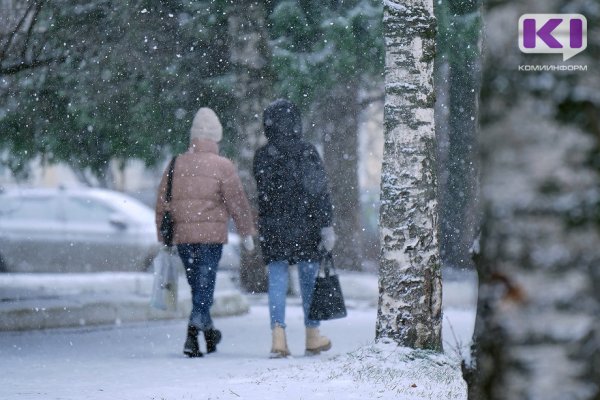 Погода в Коми на 28 октября: мокрый снег и +2°С