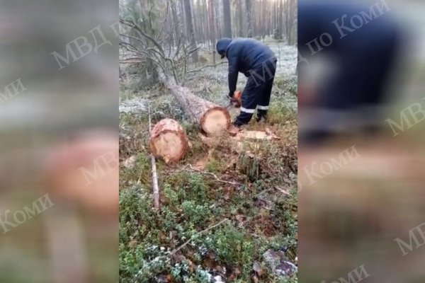 В Сыктывкаре на месте преступления задержаны 