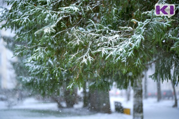 Погода в Коми 3 ноября: мокрый снег, местами туман, гололед, -3...-8°С

