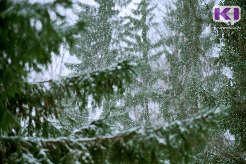 Погода в Коми 5 ноября: небольшой снег, гололед, 0...-5°С
