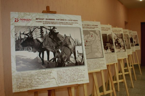 Фотогалерею об оленно-транспортных батальонах из Коми впервые покажут в Совете Федерации