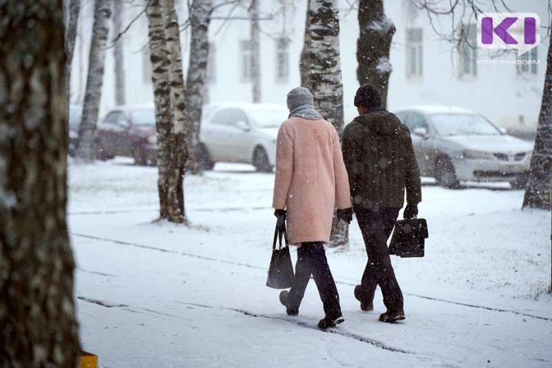 Погода в Коми на 16 ноября: туман и -10°С