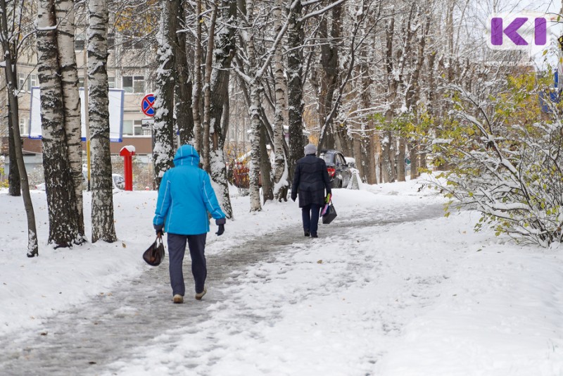 Погода в Коми на 26 ноября: небольшой снег и -16°С